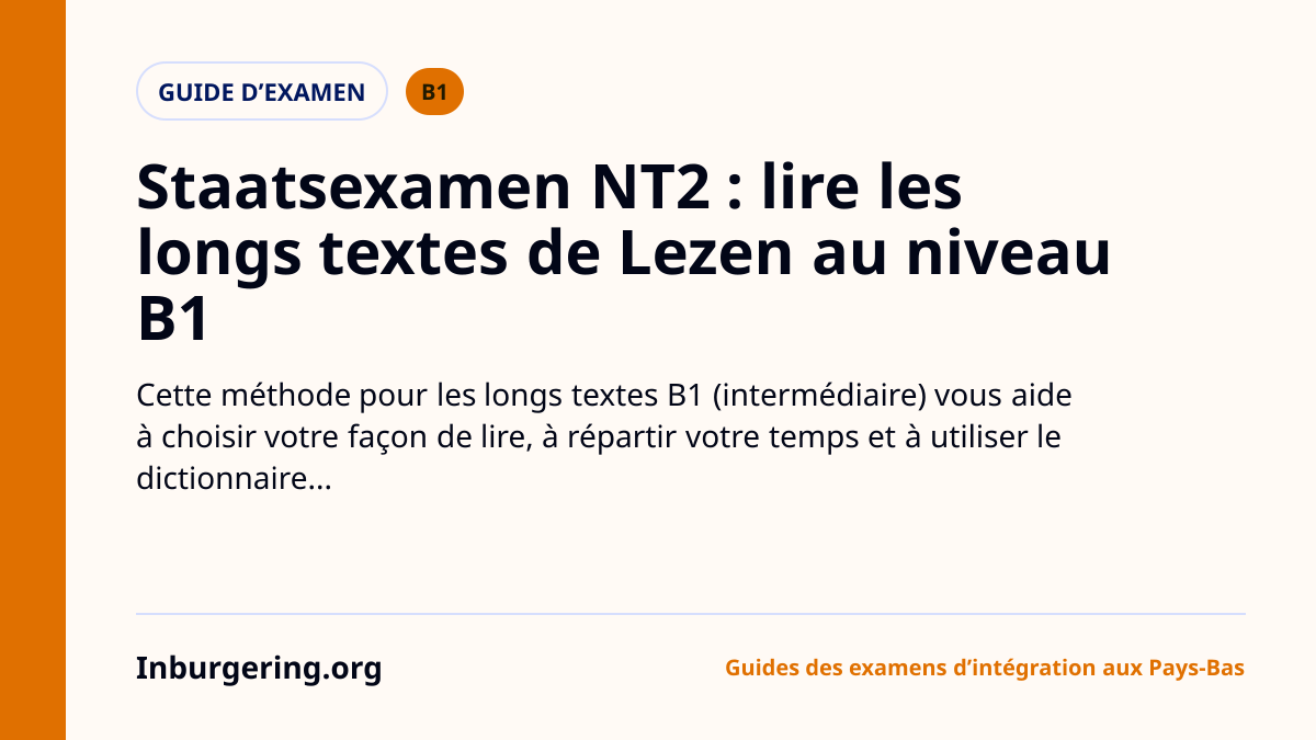 Stratégie de lecture NT2 B1 : gérer les longs textes de Lezen