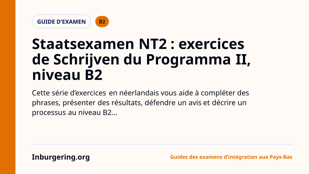Exercices d'écriture NT2 B2 : série d'entraînement Schrijven Prog