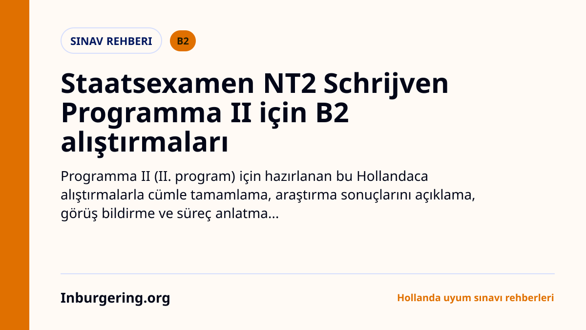 NT2 B2 yazma alıştırmaları: Schrijven Programma II pratik seti